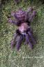 Cyriopagopus sp. Sumatra Tiger